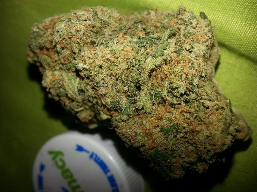 Photos of Yeti OG Weed Strain Buds Leafly