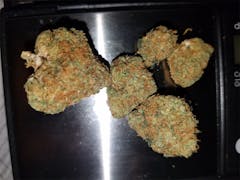 User uploaded image of Yoda OG