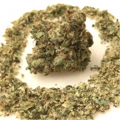 User uploaded image of Yoda OG
