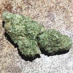 User uploaded image of Yoda's Brain