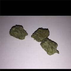 User uploaded image of Yoda's Brain