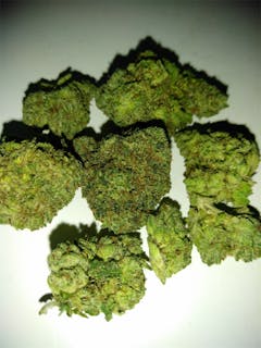 User uploaded image of Yoda's Brain