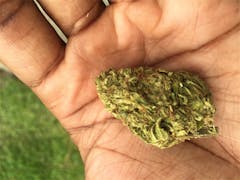 User uploaded image of Yogi Diesel