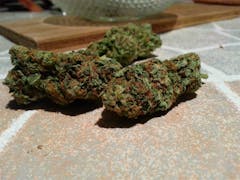 User uploaded image of Yogi Diesel