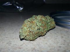 User uploaded image of Yogi Diesel