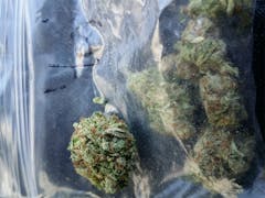 User uploaded image of Yogi Diesel