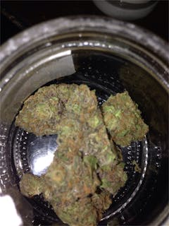 User uploaded image of Yumboldt