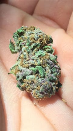 User uploaded image of Yummy