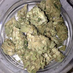 User uploaded image of Yummy