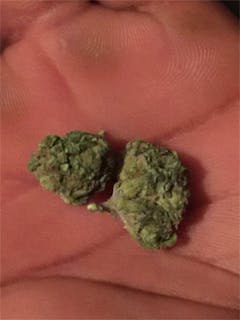 User uploaded image of Yummy