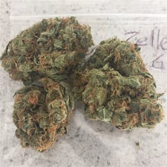 User uploaded image of Zelly’s Gift