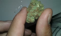 User uploaded image of Zen