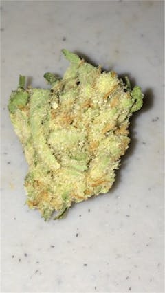 User uploaded image of Zen