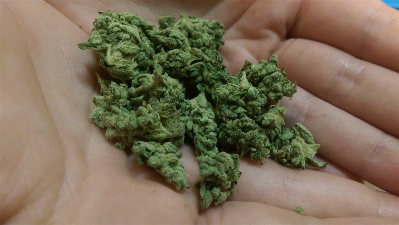 Zeta Sage Weed Strain Information Leafly