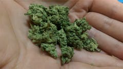 User uploaded image of Zeta Sage