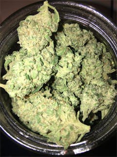 User uploaded image of Zeta Sage