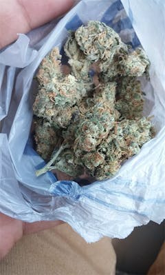 User uploaded image of Zeta Sage