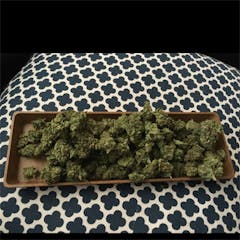 User uploaded image of Zeta Sage