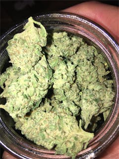 User uploaded image of Zeta Sage