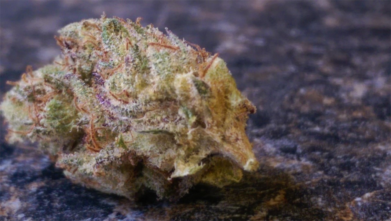 cookies disposable vape pen 1g