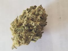 User uploaded image of The Original Z