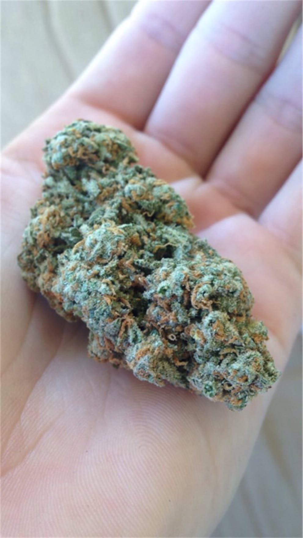 Photos of Zkittlez Weed Strain Buds Leafly