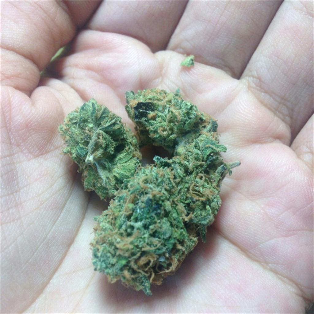 Zkittlez aka Skittles, Skittlz, Island Zkittlez Weed Strain Information