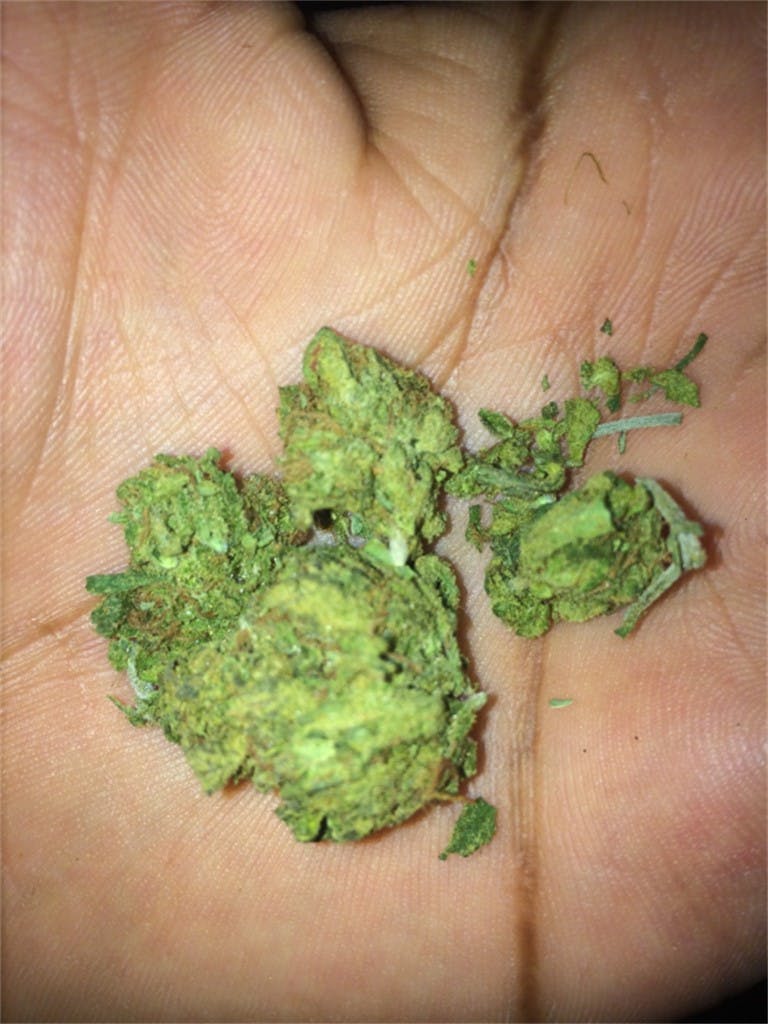 Photos of Zkittlez Weed Strain Buds Leafly