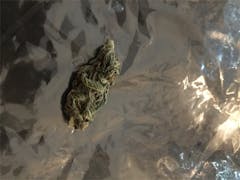 User uploaded image of Zombie OG