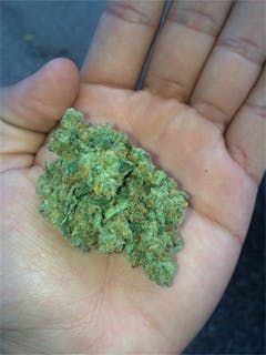 User uploaded image of Zombie OG