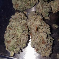 User uploaded image of Zombie OG