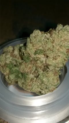 User uploaded image of Zombie OG