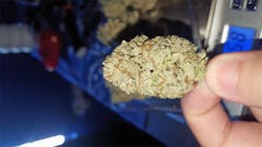 User uploaded image of Zombie OG