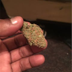 User uploaded image of Zombie OG