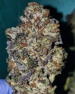 User uploaded image of Zoom Pie