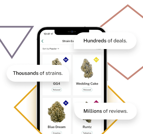 Photo of mobile phone displaying Leafly strains