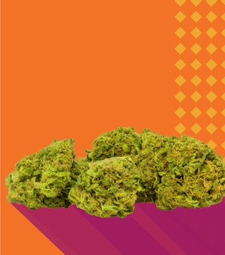 Shop weed online for pickup.