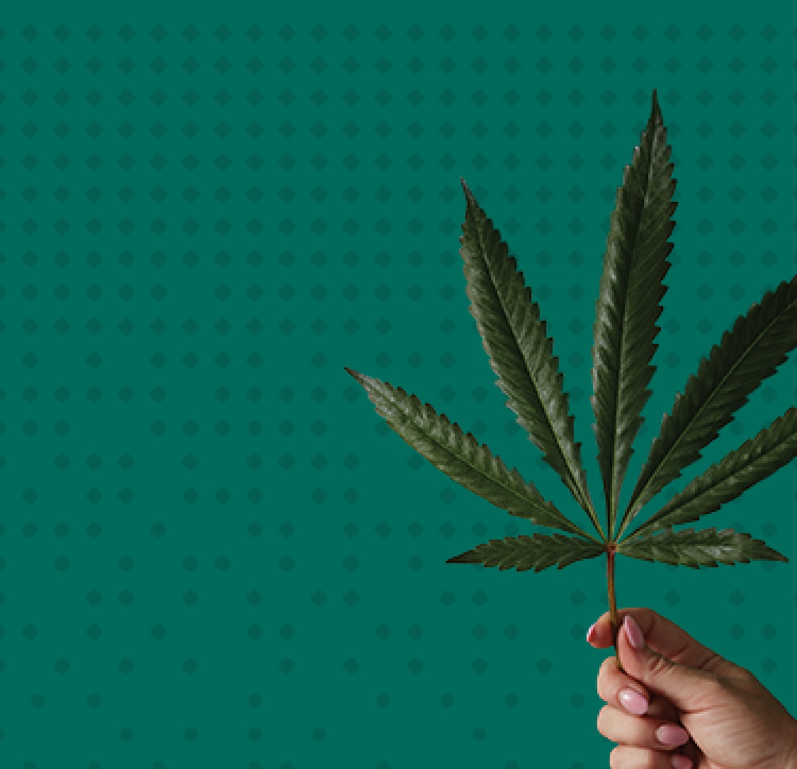 Find Marijuana Strains, Stores, & News | Leafly