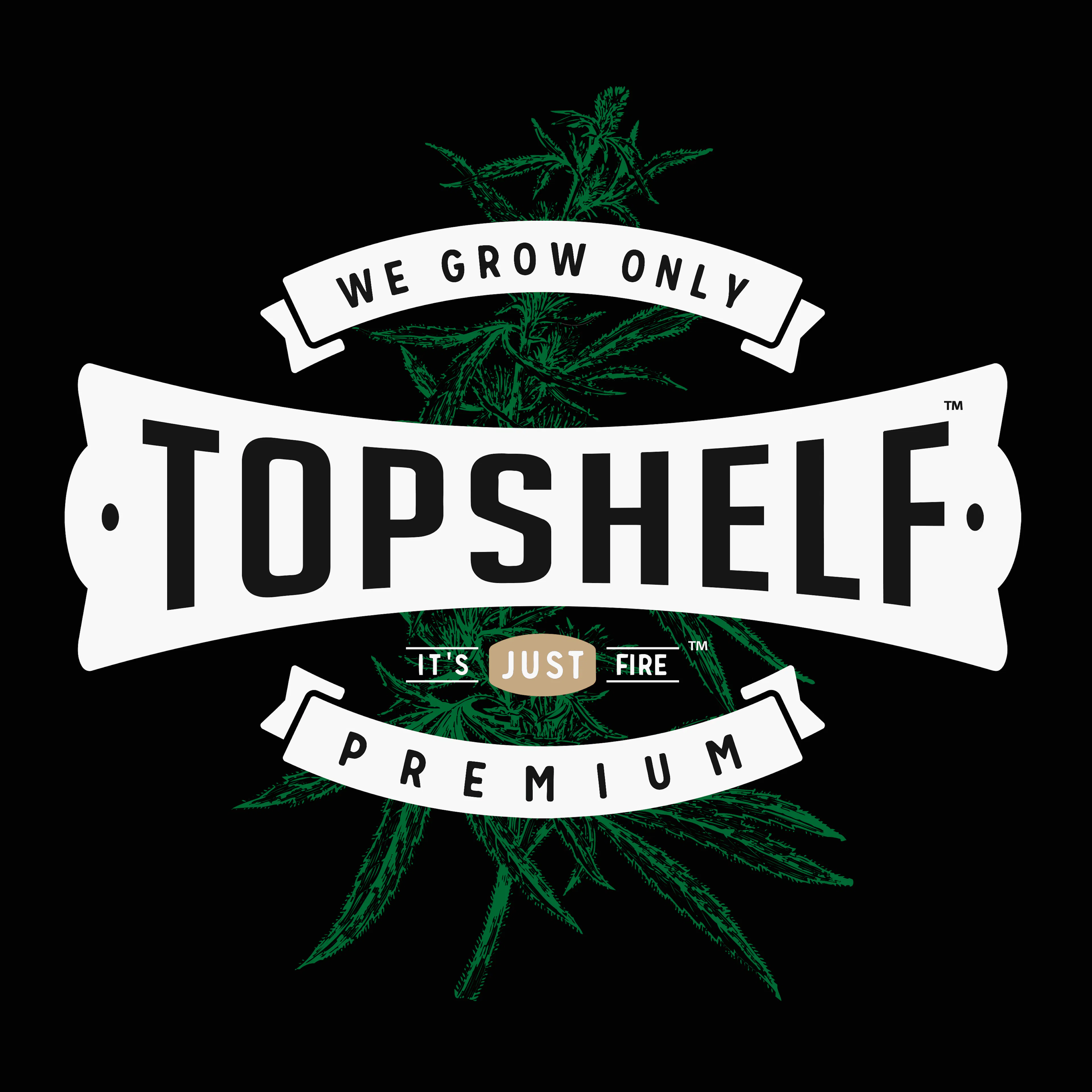 TopShelf logo